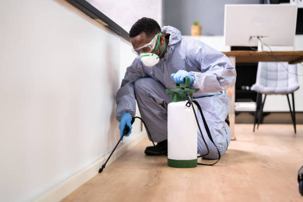 Real Estate Pest Inspections in Pikesville, MD